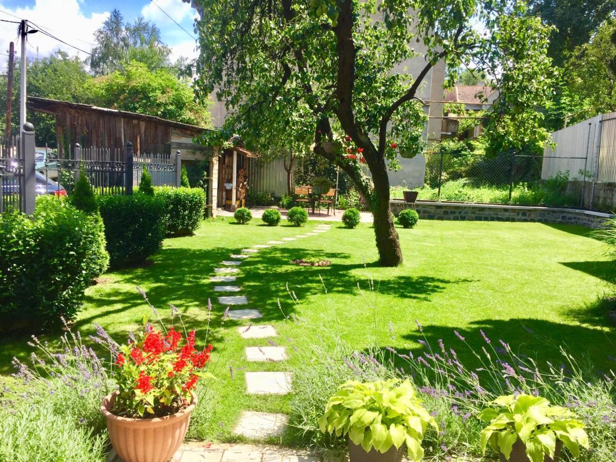 Apartment Provence Užhorod Exteriér fotografie